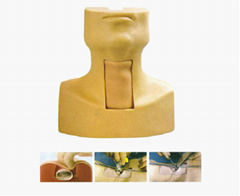 EM-020 Tracheostomy Manikin 