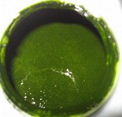 condensed chlorella liquid