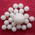 Plastic solid ball, Delrin ball, Nylon balls 2