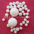 Plastic solid ball, Delrin ball, Nylon balls 1