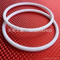 Seal ring, o ring seal 2