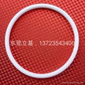 Seal ring, o ring seal 3