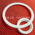 Seal ring, o ring seal 1