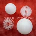 Hollow plastic ball