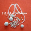 Ptfe seal, Teflon seal, Teflon o-ring 1