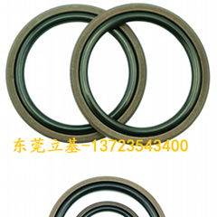 Glyd Ring, Axis with Glyd Ring, PTFE Ring, Rubber Gly Ring