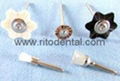 Dental Polishing Brushes