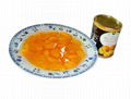 topamto paste,canned orange,canned mushroom 