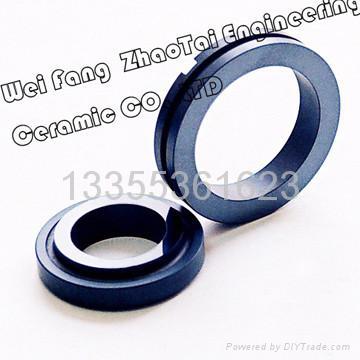 sealing ring 2