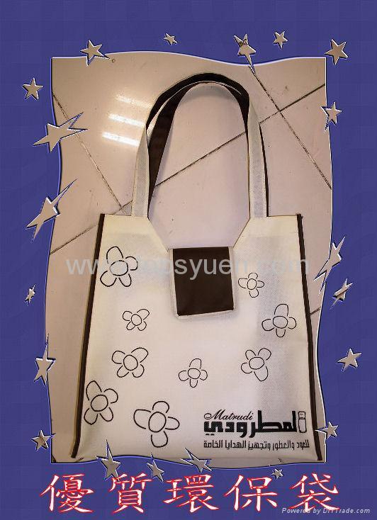 Non woven Bag  Bags 2