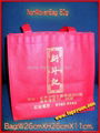 Non woven Bag  Bags 5