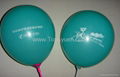 Balloon  Rubber Balloon  8