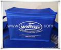 Non woven Bag  Bags 10