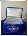 Non woven Bag  Bags 11