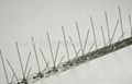 Stainless steel bird spikes