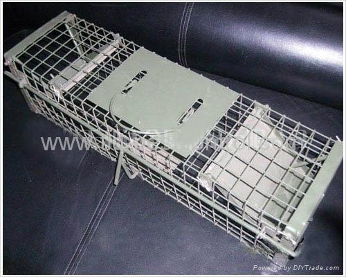 Catching cat trap cage