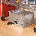 Automatic catching mouse trap