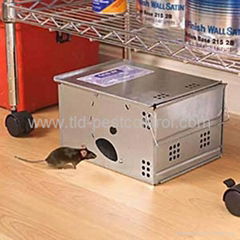 Catching mouse trap