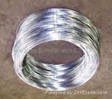 Galvanised Steel Wire