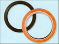 PTFE Oil Seals and Gaskets 2