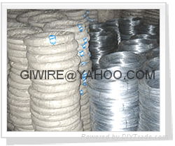 Electro Galvanized Wire  3