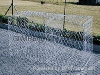 Hexagonal Wire Netting