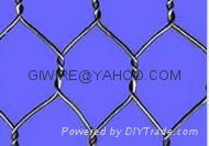 Hexagonal Wire Netting 2