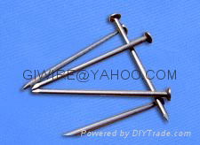 Common Iron Wire Nail 