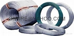 Electro Galvanized Wire