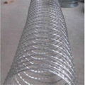 Concertina Razor Wire  1