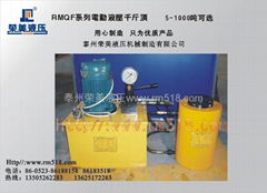 Separate electric hydraulic jack