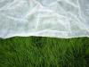 PP Spunbond Nonwoven Fabric for Agriculture