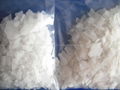 magnesium chloride 5