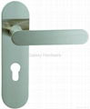 Lever Handle with Plate