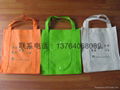 Non-woven shopping bag 2