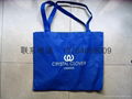 Non-woven shopping bag 3