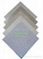惠华专利防静电产品 F6611防静电瓷质地板砖 3