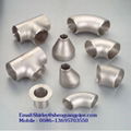 Stainless steel pipe fittings 1