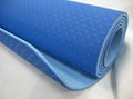 Yoga Mat-TPE - GW-YG-001 1