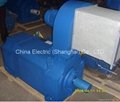 Z4 Series Electric DC Motor for Plastic Extruding Machine/ Extruder