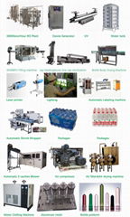 4000BPH Bottle Filling Machine