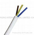 Non-flexible flat cable(BS6500   IEC227)