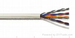 Lan cable(PTT298)