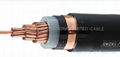 High voltage cable 3