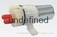 Diaphragm Pump