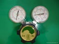 Pressure Regulator 1