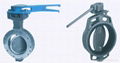 Butterfly valve(Manual, Pneumatic, Electric type)