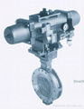 Butterfly valve(Manual, Pneumatic, Electric type)