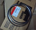 Piston rings for  KT-19