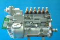 Injection pump complete   A3960919